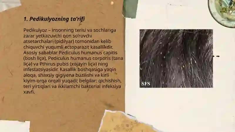 Pedikulyoz 3