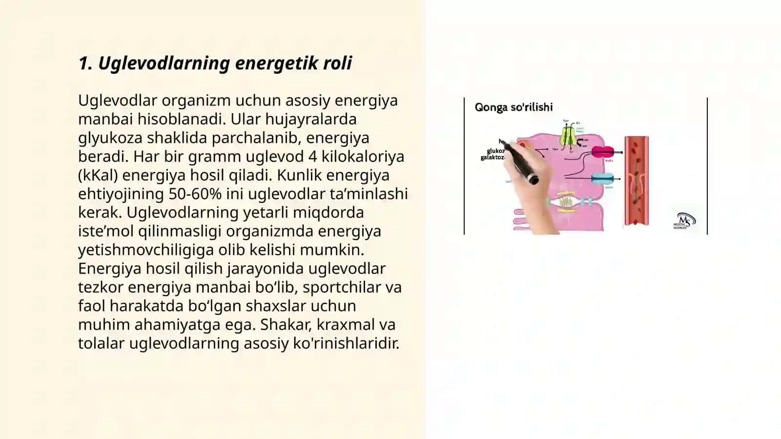Uglevodlar almashinuvi 3
