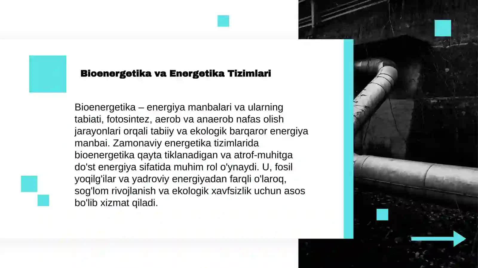 Oʻzbekiston bioenergetika sanoatini rivojlantirish strategiyasi 3