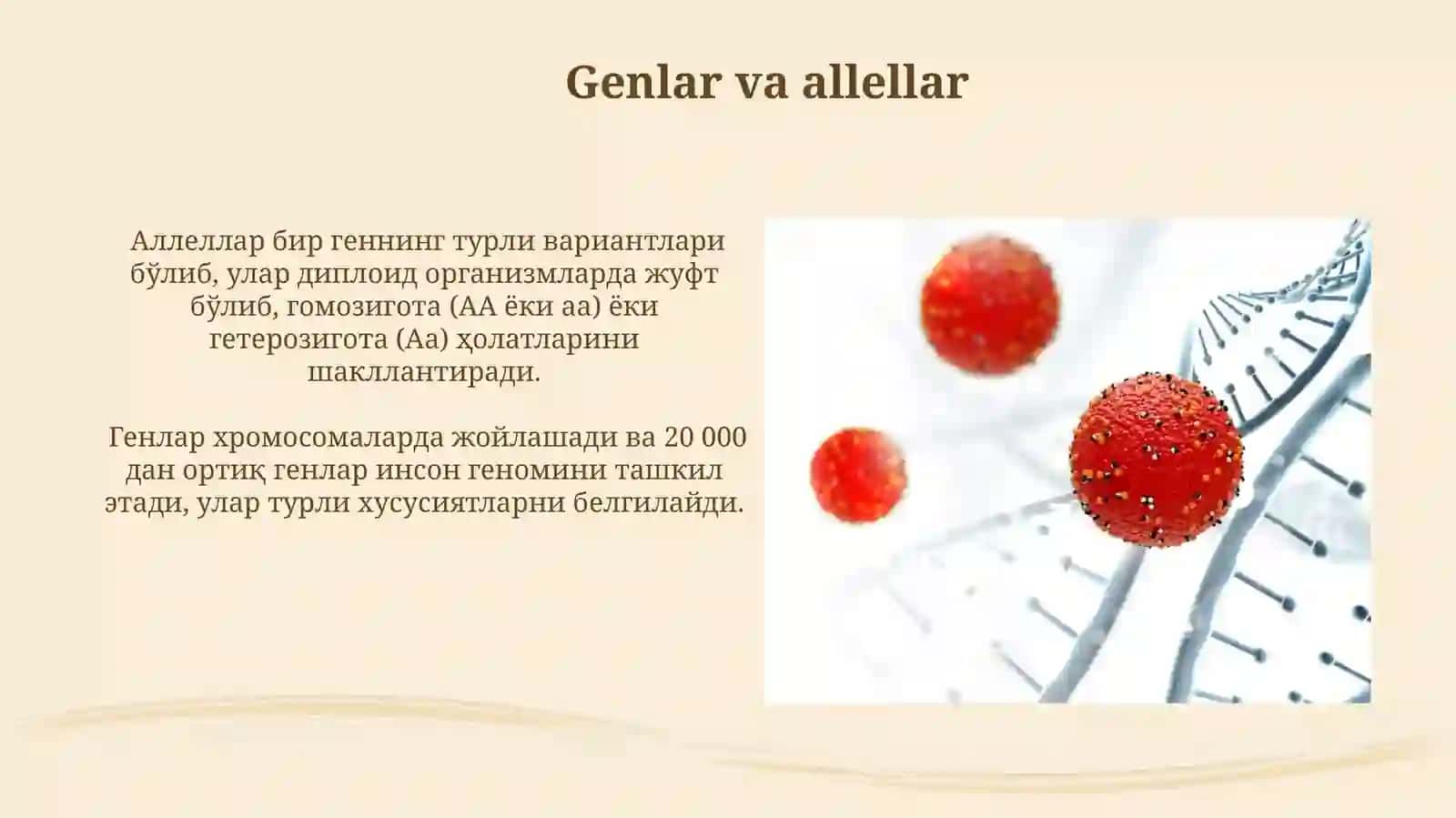 Molekular genetik asoslari va irsiy kasalliklar 3