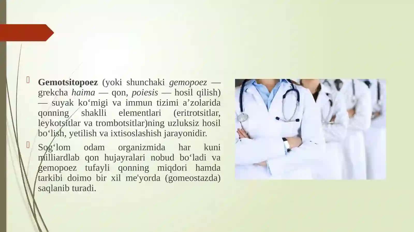 Gemotsitopoez va uning bosqichlari. 3