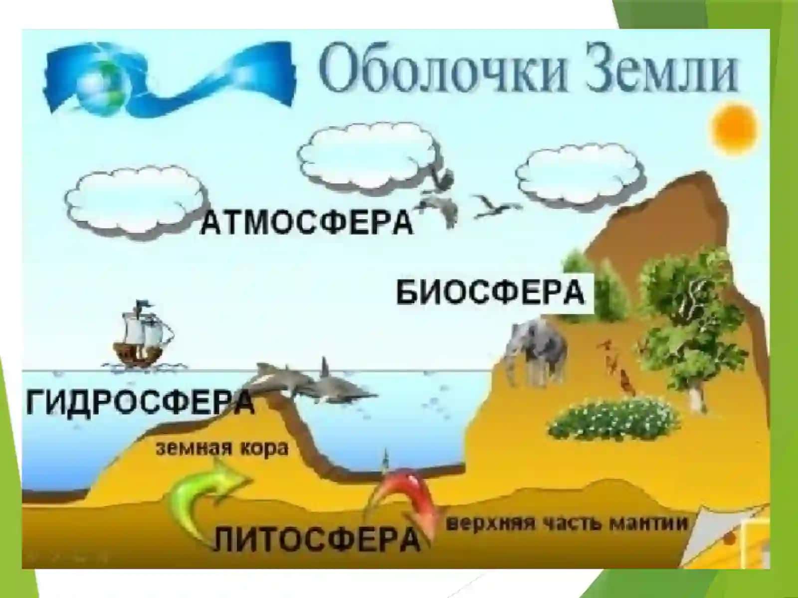 Ҳозирги замон глобал экологик муаммолари 3