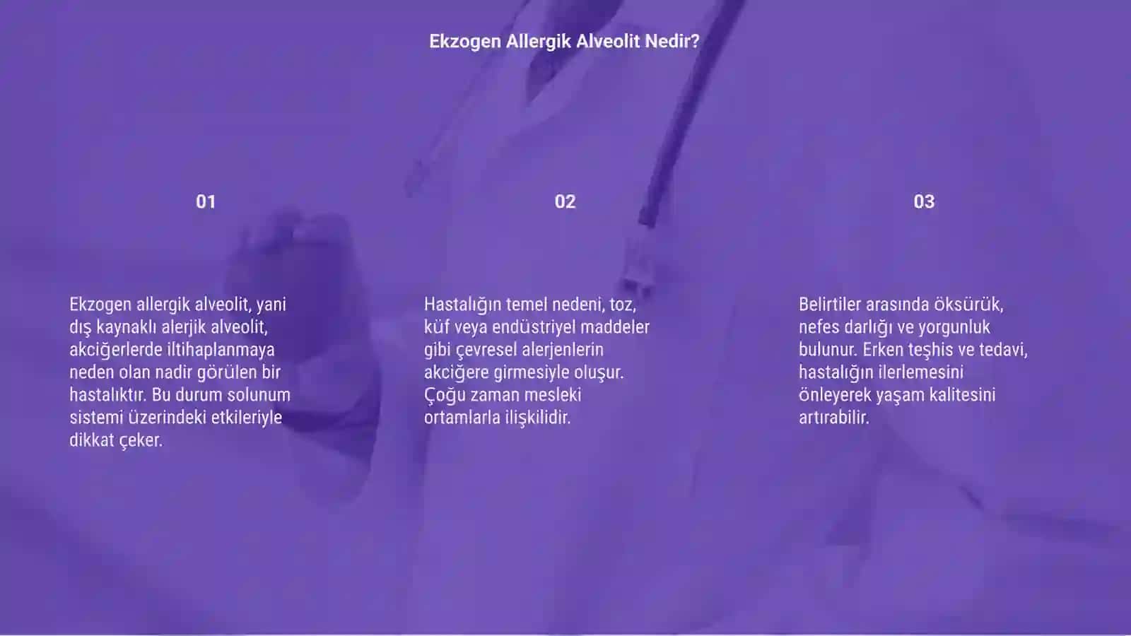Ekzogen allergik alveolit 3