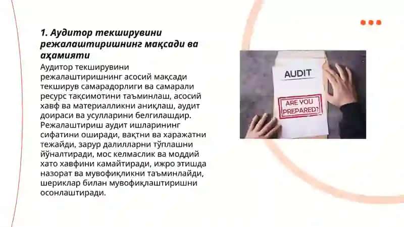 Audit fani 3