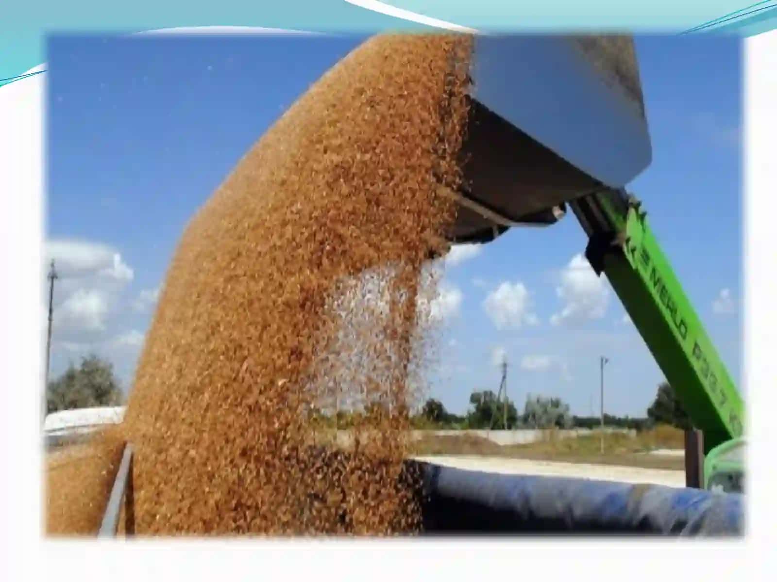 JOHON XO’JALIGI VA UNING EVOLUTSIYASI 3
