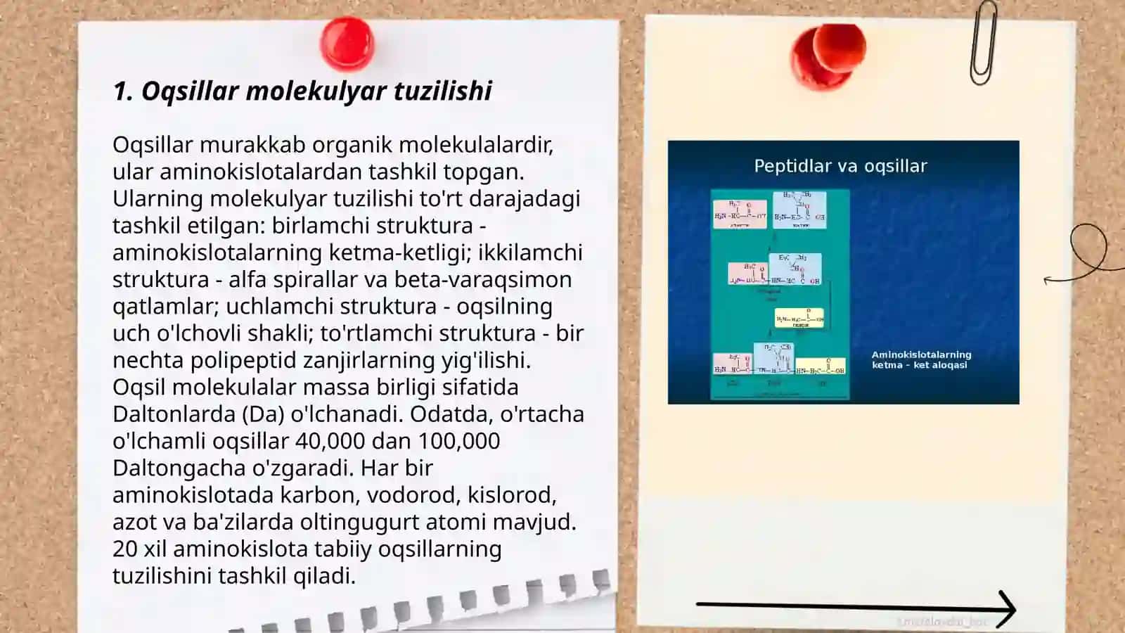 Oqsillar denaturatsiyasi va uning biologik ahamiyati 3