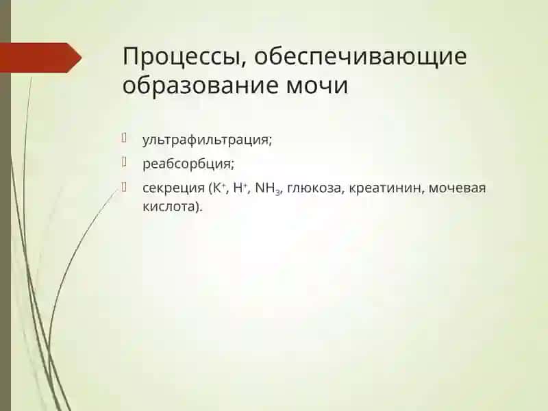 Патофизиология почек 3