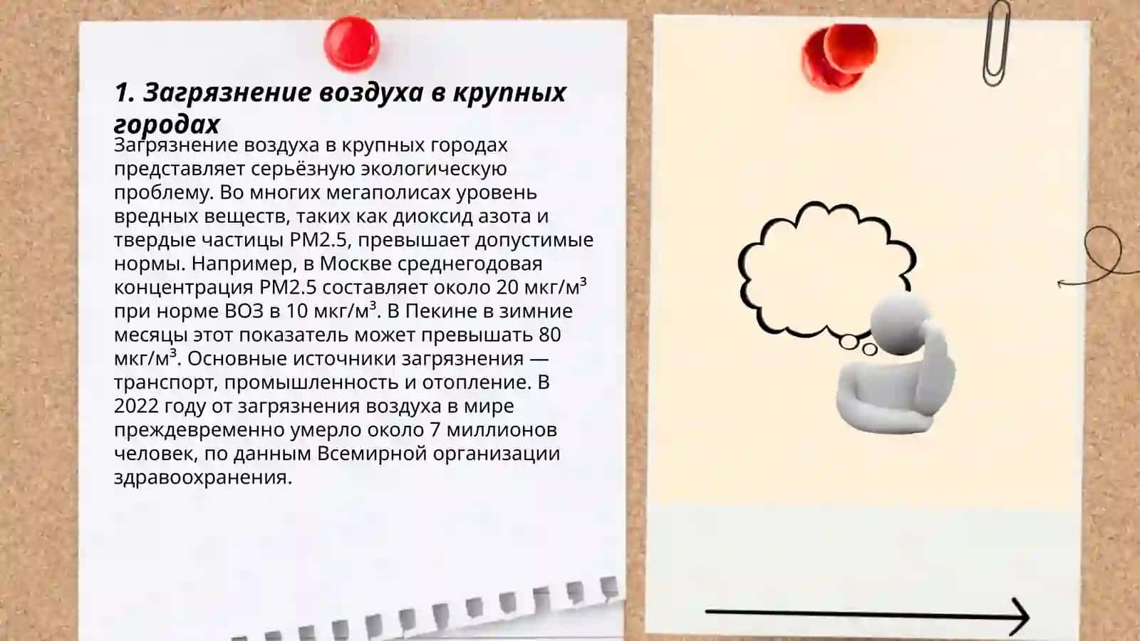 Гигиенические проблемы современных крупных город 3