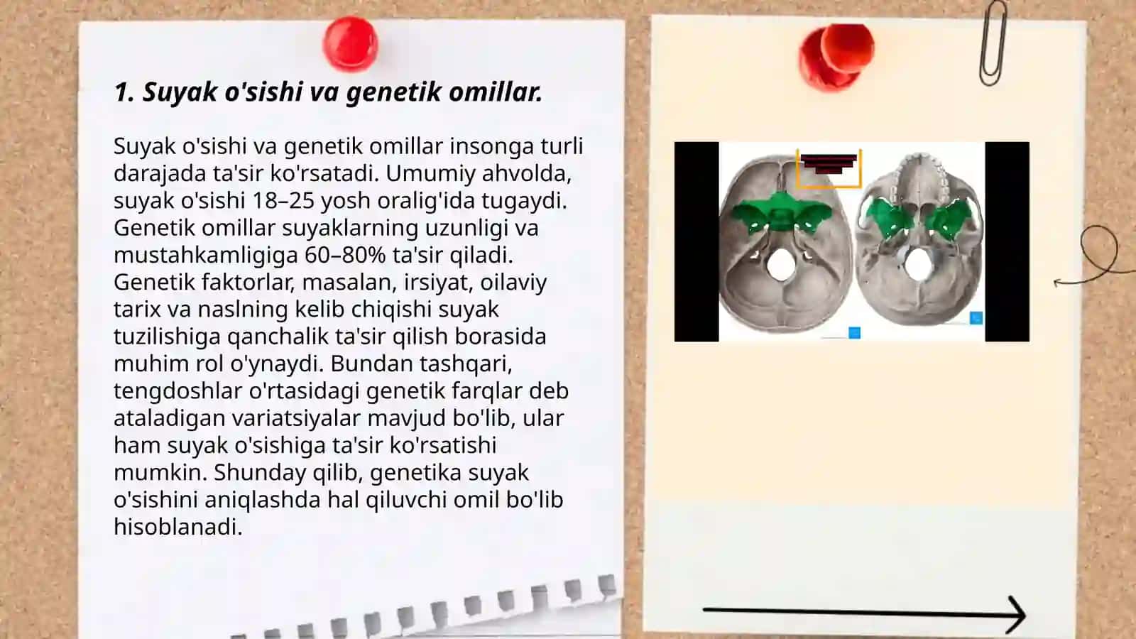 Suyak o'sishda turmush tarzining va tashqi omillarning ta'siri 3