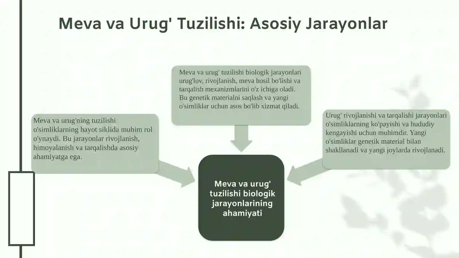 Meva va urug' tuzilishining klassifikatsiyasi 3