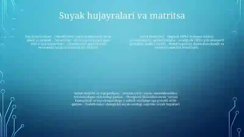 Suyaklarni Tuzilishi Va Topografiyasi 3