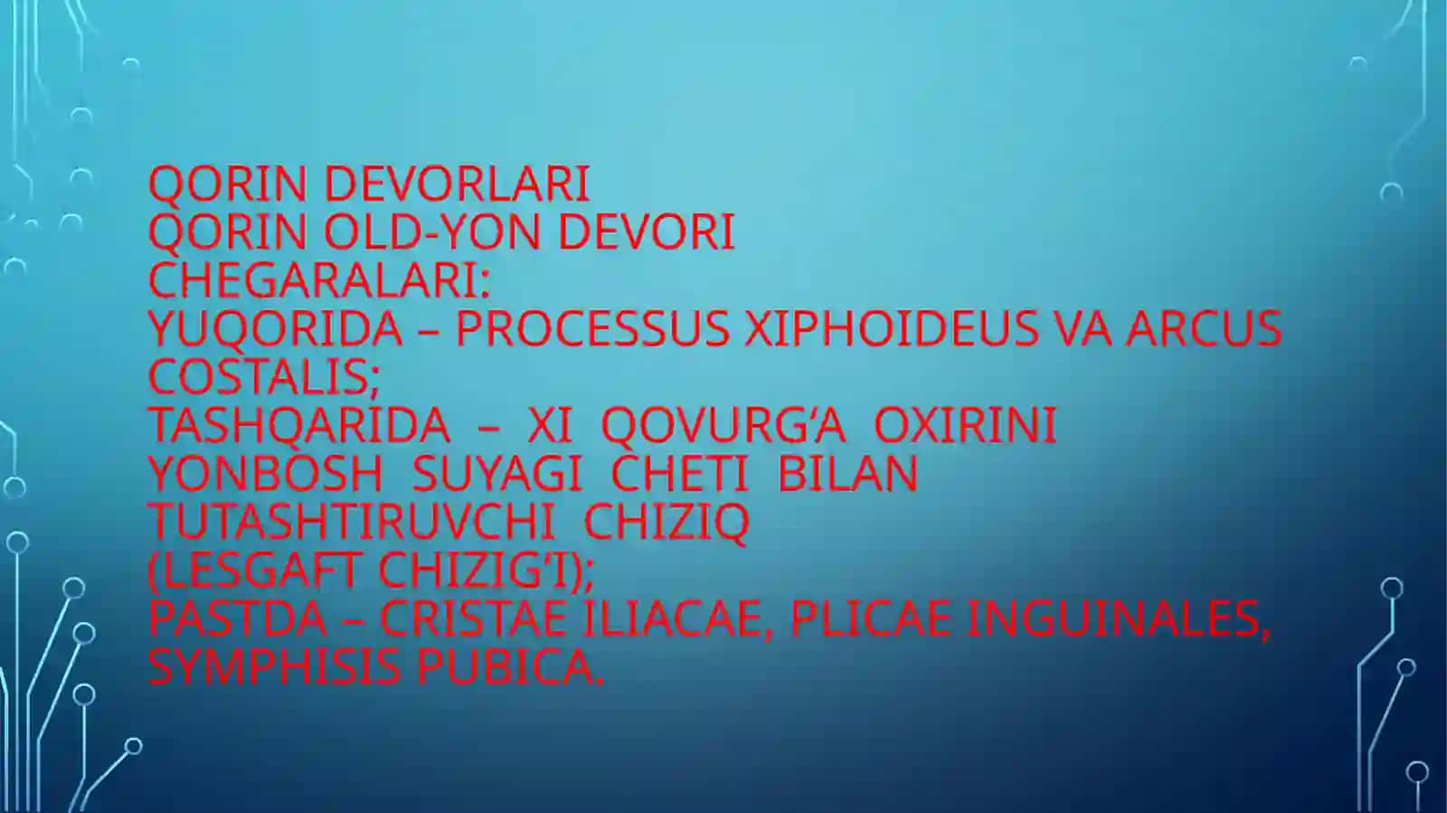 Qorinning topografik anatomiyasi 3