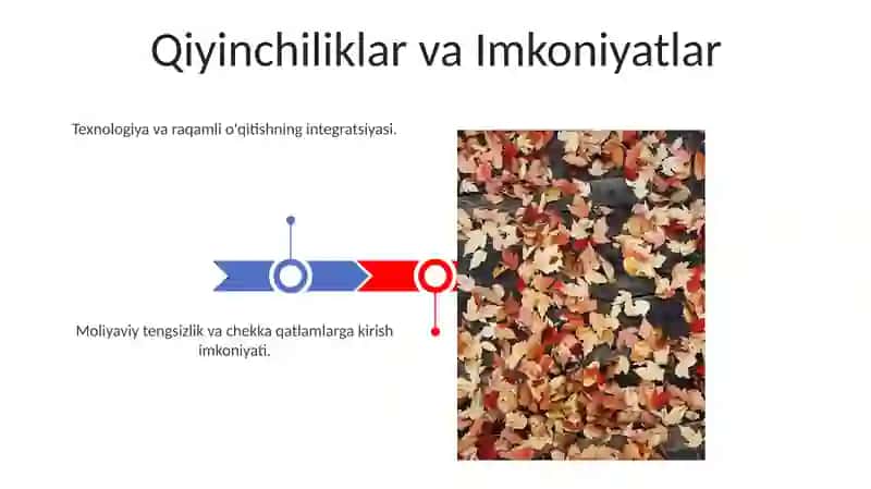 Kanadada ta‘lim tarbiya jarayonlari 3