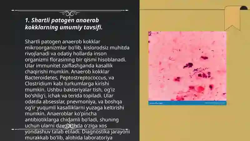 Shartli patogen anaerob kokklarni (peptokokklar, peptostreptokokklar,veylonellalar)xirurgik va ginekologik kasalliklardagi ahamiyati. Qandli diabetda uchraydigan infeksiyalar,patogenez, laboratoriya tashxisi 3