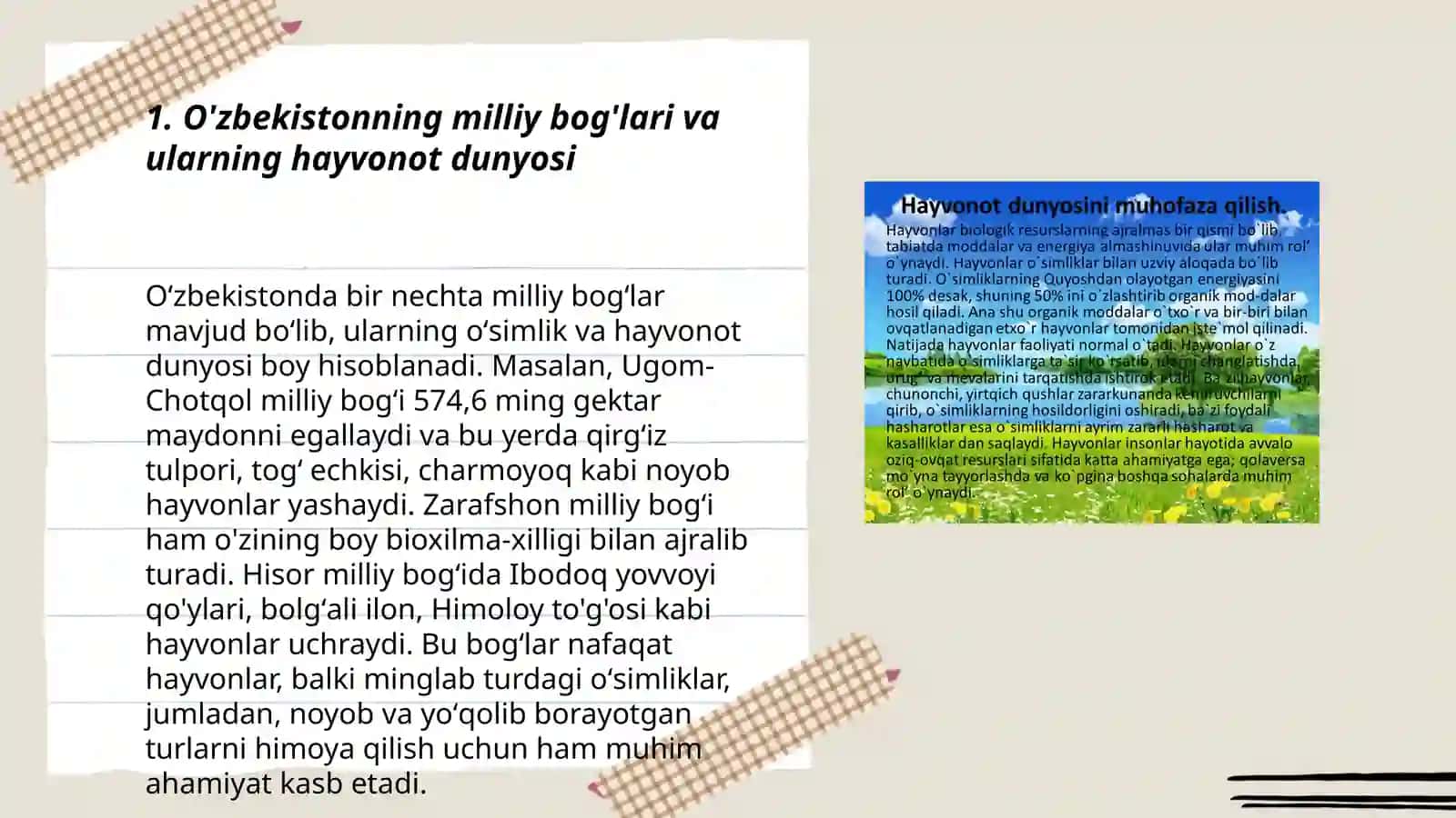 O'zbekiston hayvonot dunyosi va ekologik omillar 3