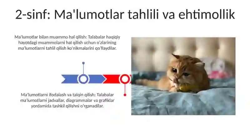 O'quv dasturi tahlili (1-, 2-sinflar kesimida) 3