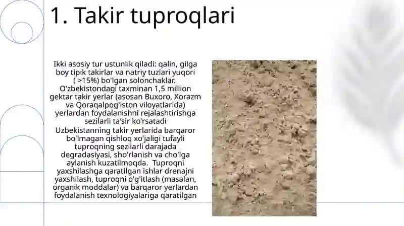 Oʻzbekistonda uchraydigan tuproq xilari 3