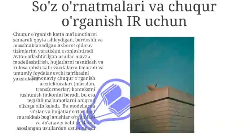 Vektor Fazolar Modellari 3
