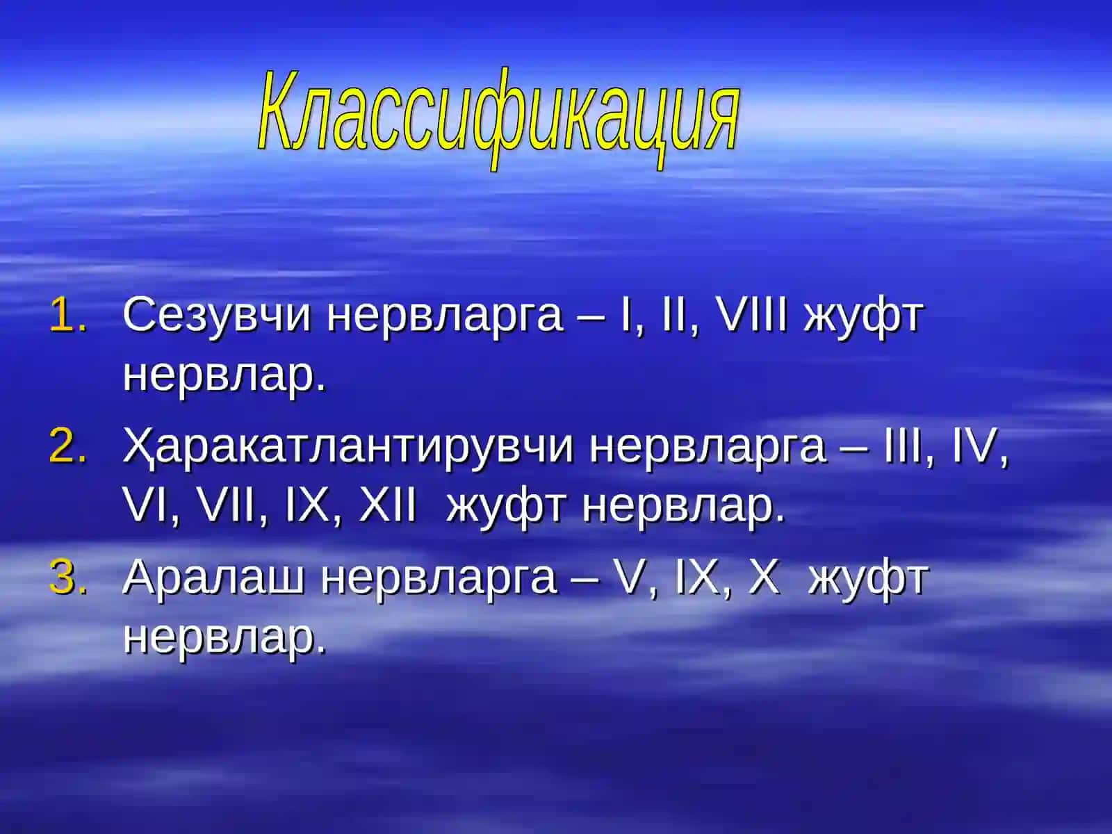 Бош мия нервлари 3