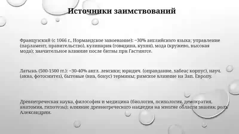 Заимствованная лексика 3