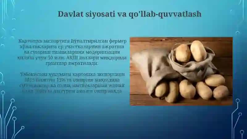Kartoshka Eksporti Strategiyasi 3