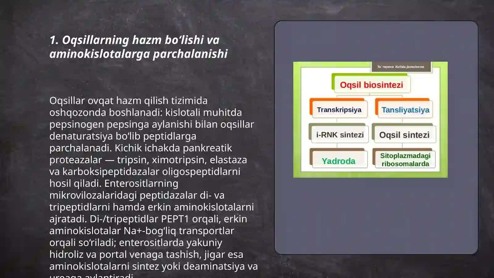 Odam organizmida oqsillarning biokimyoviy o’zgarishi 3