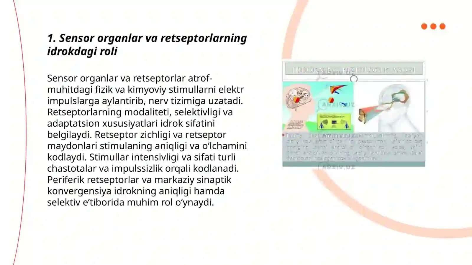 Idrokning nerv-fiziologik asoslari 3