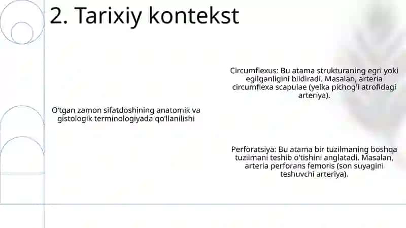 Anatomik Va Gistologik Nomenklaturalarida Qo'Llanadigan O'Tgan Zamon Sifatdoshining Majhullik Nisbati. (Circumflexus-Egilgan, Perforatus-Teshilgan) 3