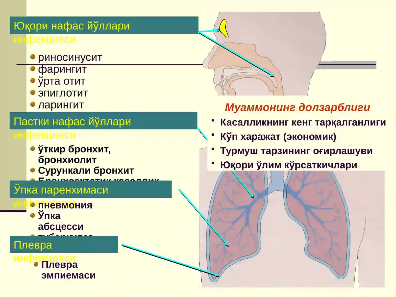 Педиатрия фанидан тайёрлаган БОЛАЛАРДА ЎТКИР ПНЕВМОНИЯ 3