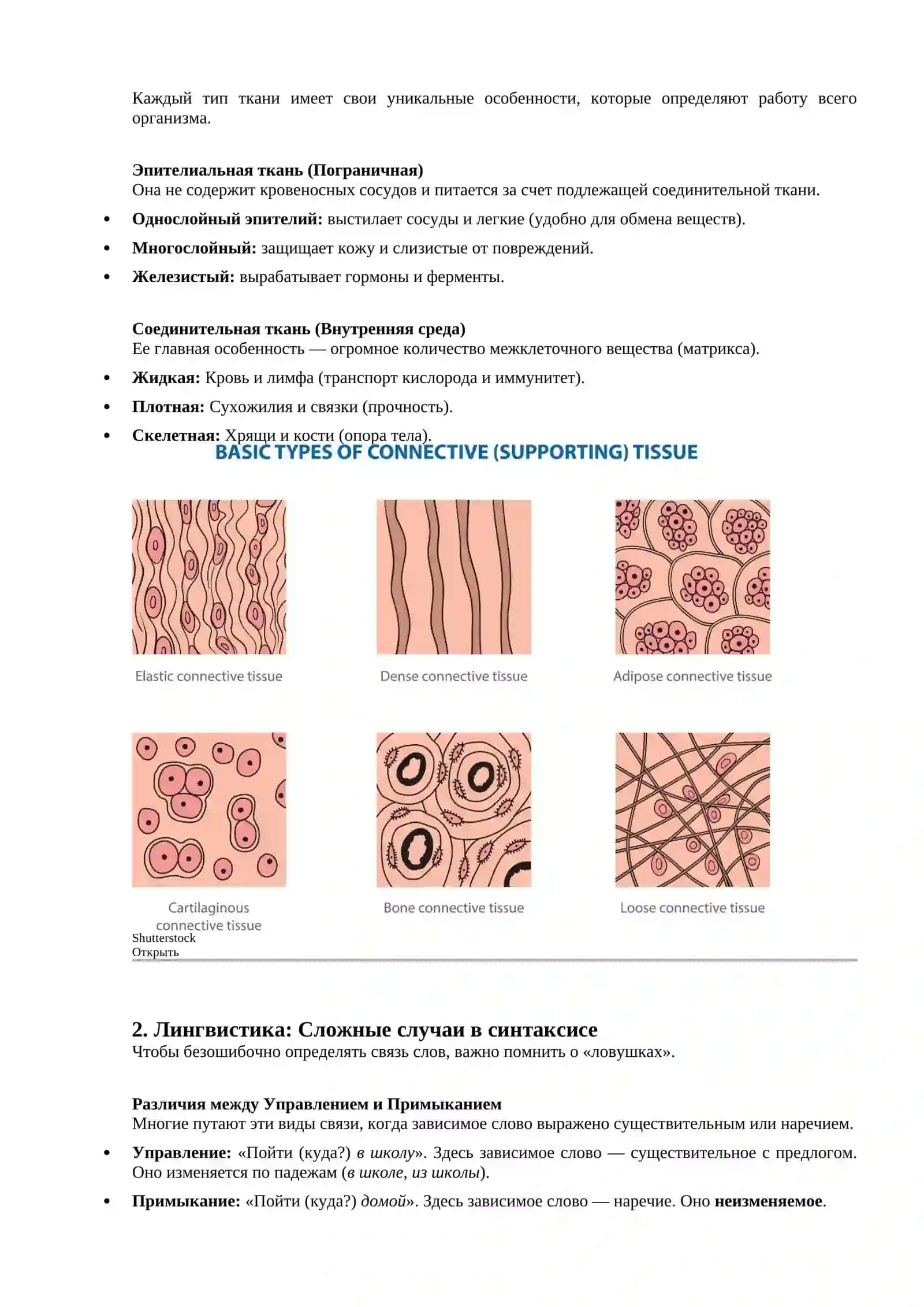 Ткани. Синтаксис. Словосочетание. Связь слов в словосочетании 3