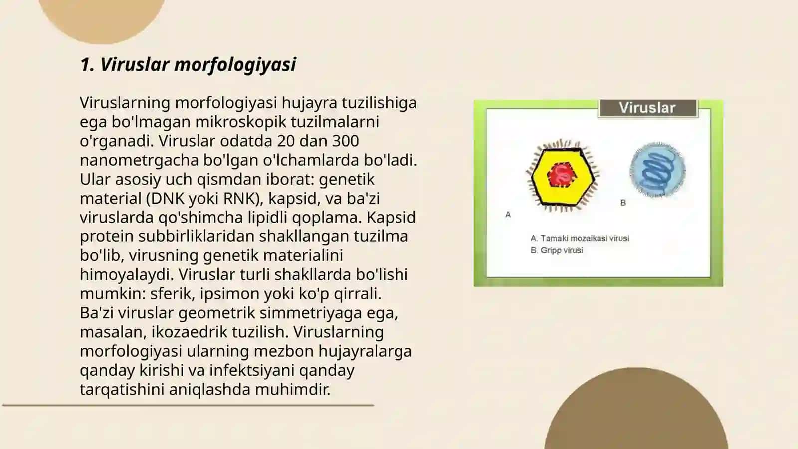 Viruslar. Pro-eukariyot hujayralar 3