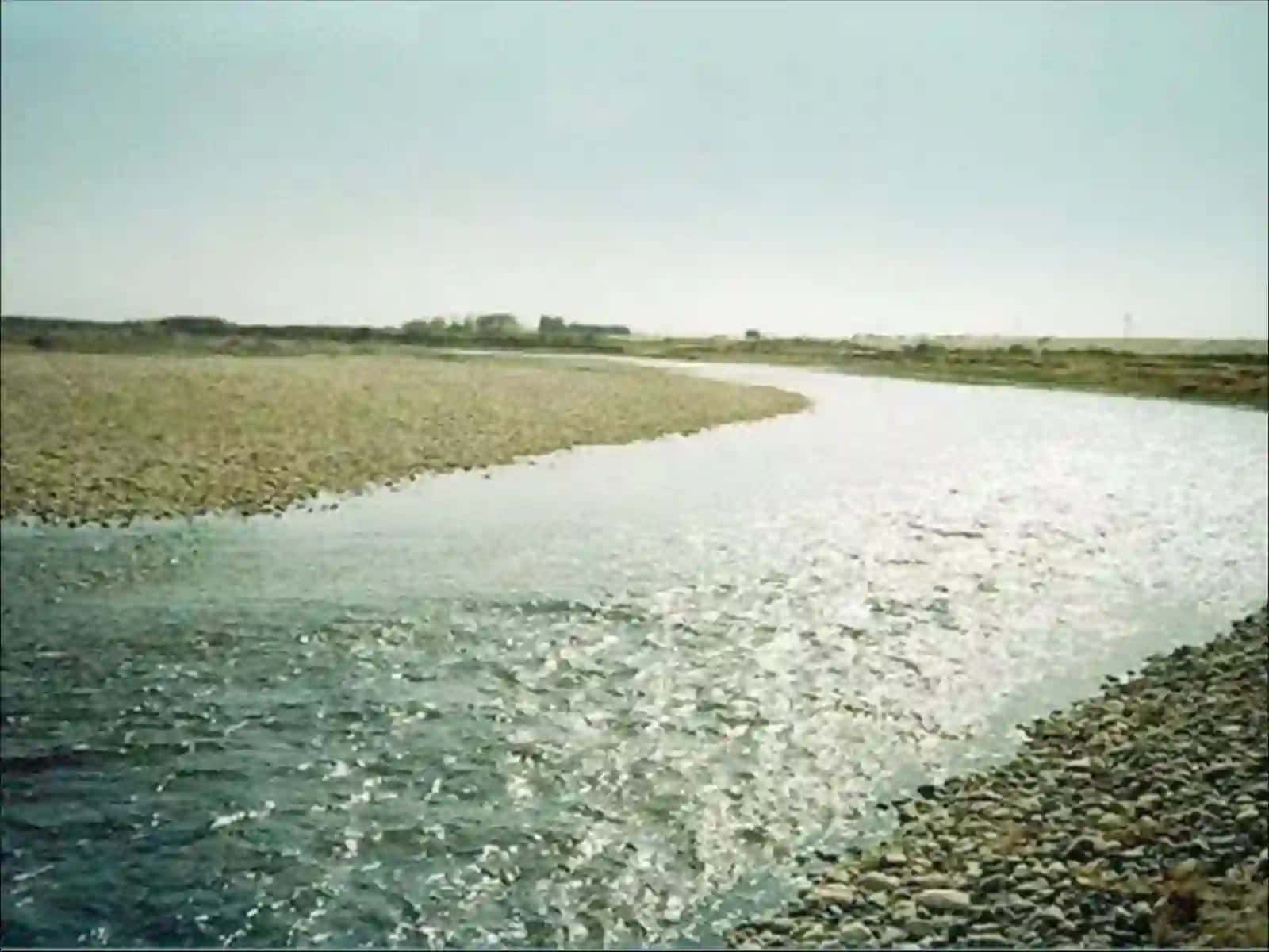 Daryolar 3