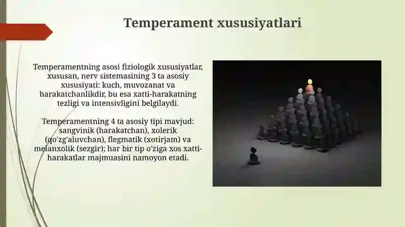 Temperamentning asosiy tipi mavjud 3