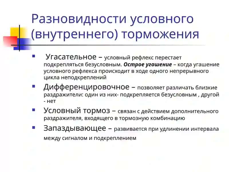 Виды сна 3