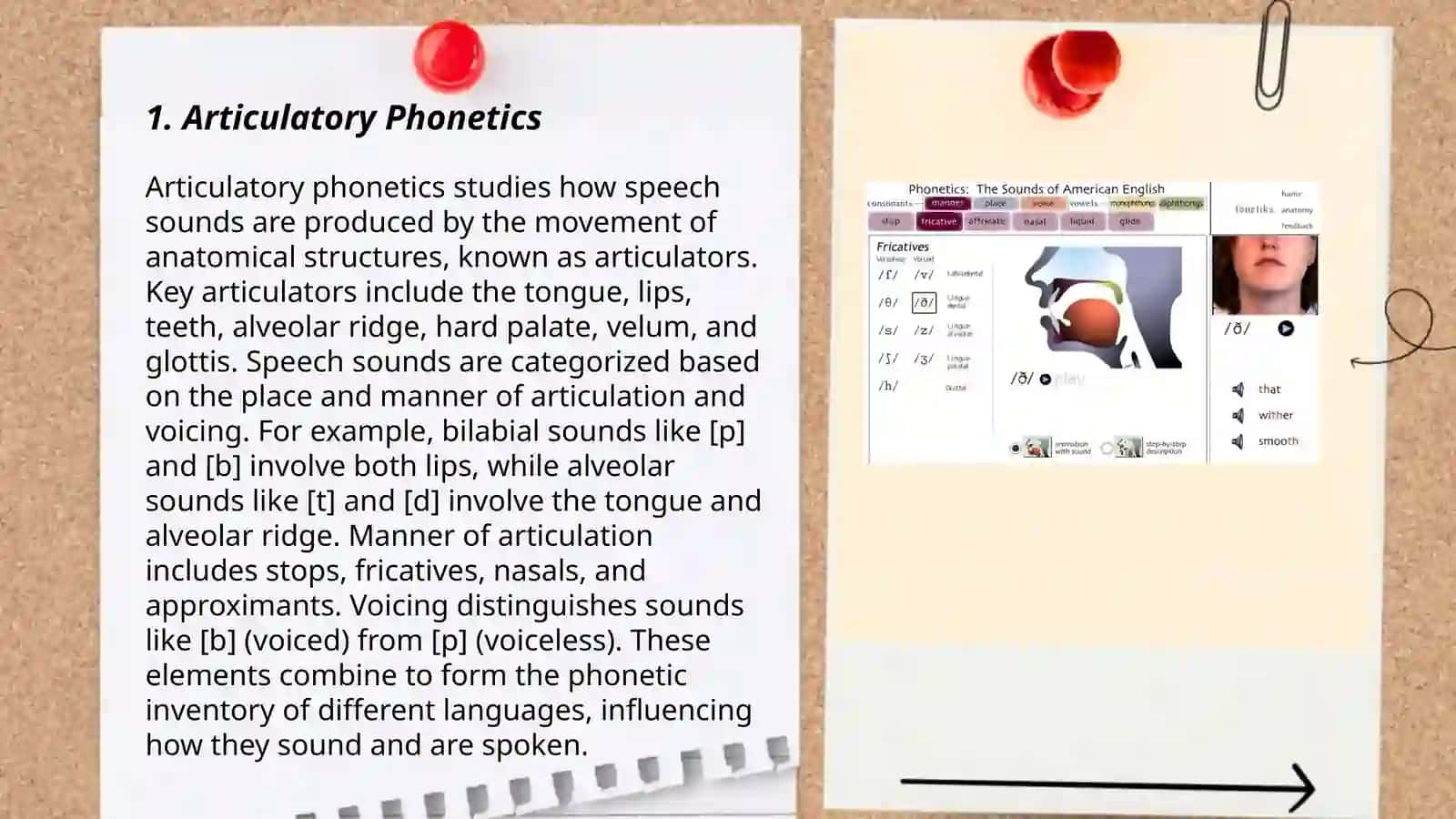 Phonetics 3