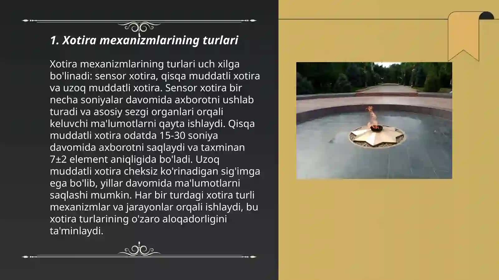 Absottorova Nozila 3