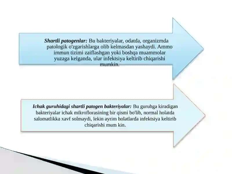 Shartli patogen dioriyaogen ichak gruppa bakteriyalari: Sitobakter, Klebsiella, Enterobakter 3