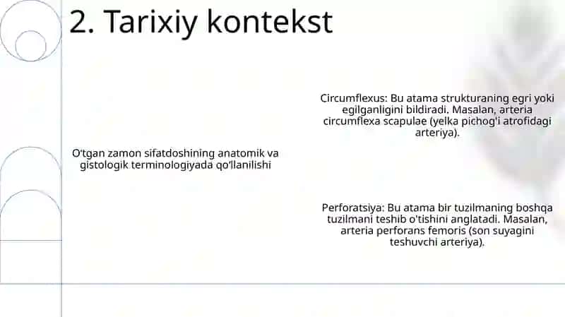 Anatomik Va Gistologik Nomenklaturalarida Qo'Llanadigan O'Tgan Zamon Sifatdoshining Majhullik Nisbati. (Circumflexus-Egilgan, Perforatus-Teshilgan) 3