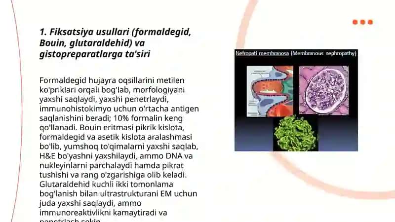 Gistopreparatlar tayyorlash va turli mikroskoplarda o'rganish 3