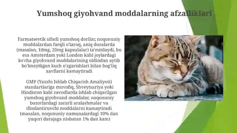 Farmasevtik darajali yumshoq dorilarning ta'rifi 3