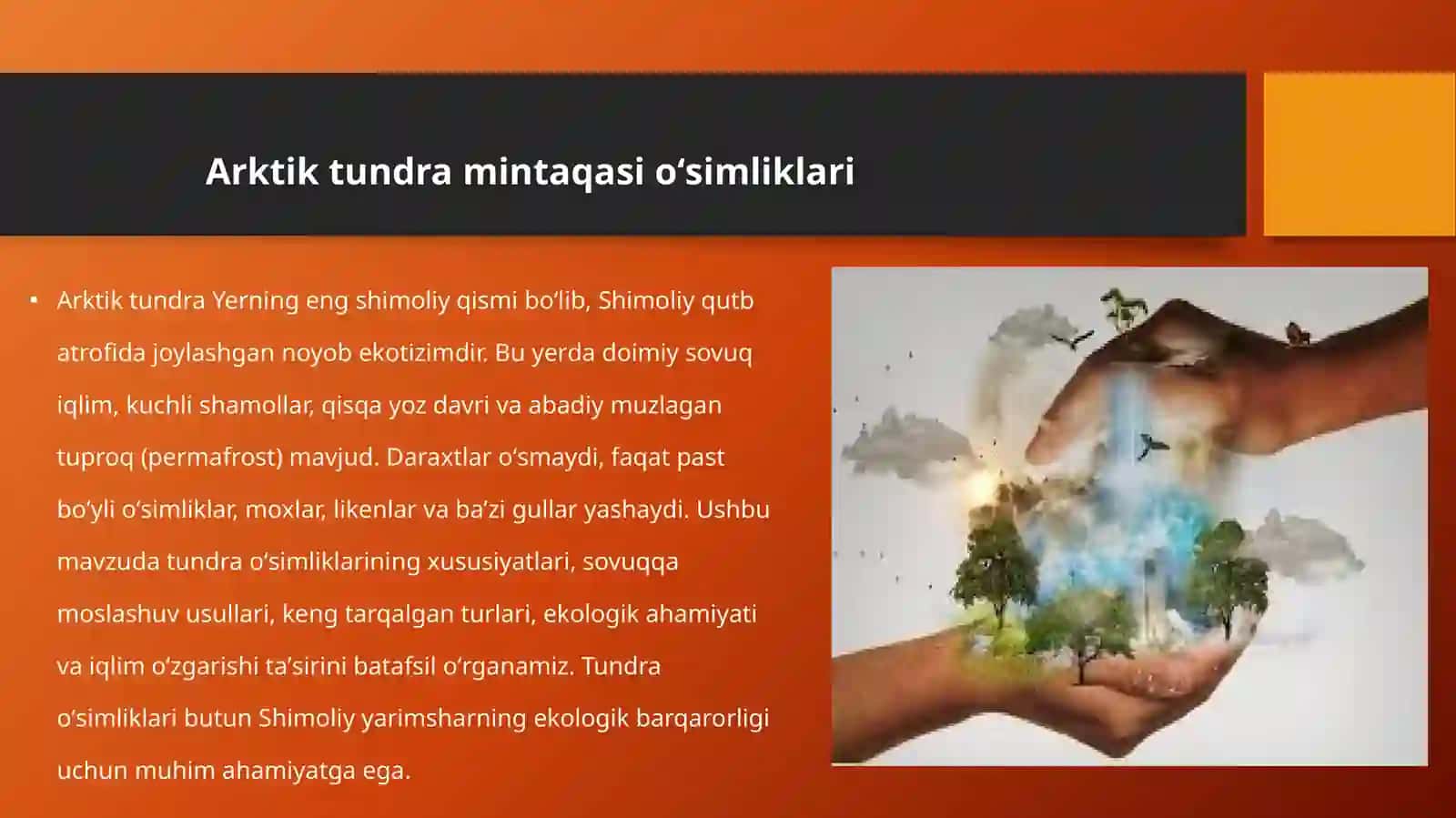 Arktik Tundra mintaqasi oʻsimliklarini organish 3