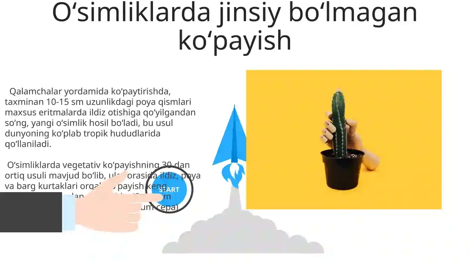 Jinssiz va jinsiy koʻpayish oʻsimliklarda 3