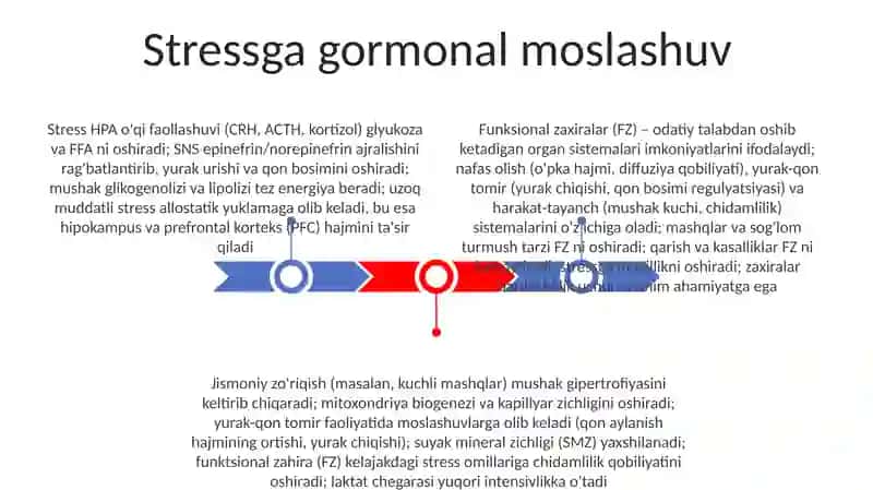 Jismoniy yuklamalarga moslashish va funksional sistema zahiralari 3
