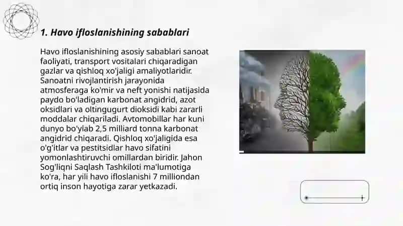 O'zbekiston atmosferasini muhofaza qilish muammolari va yechimlari 3