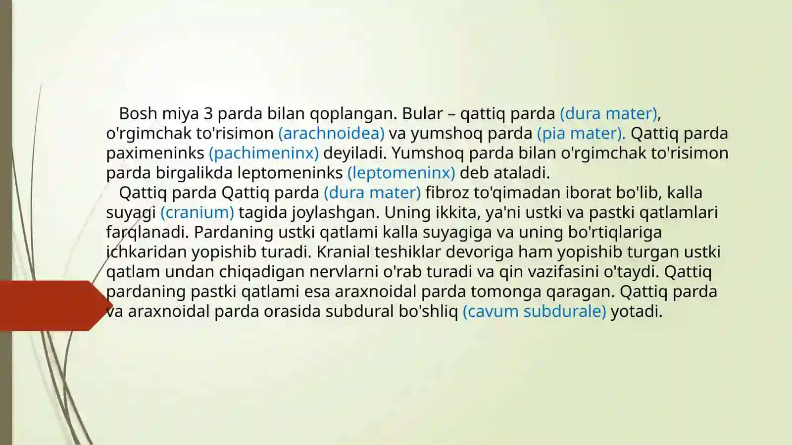 Bosh miya pardalarining vena bo’shliqlari va sisternali 3