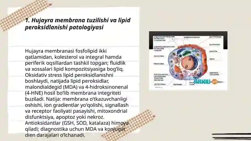 Hujayra membranalar va organellalarining patologiyasi 3