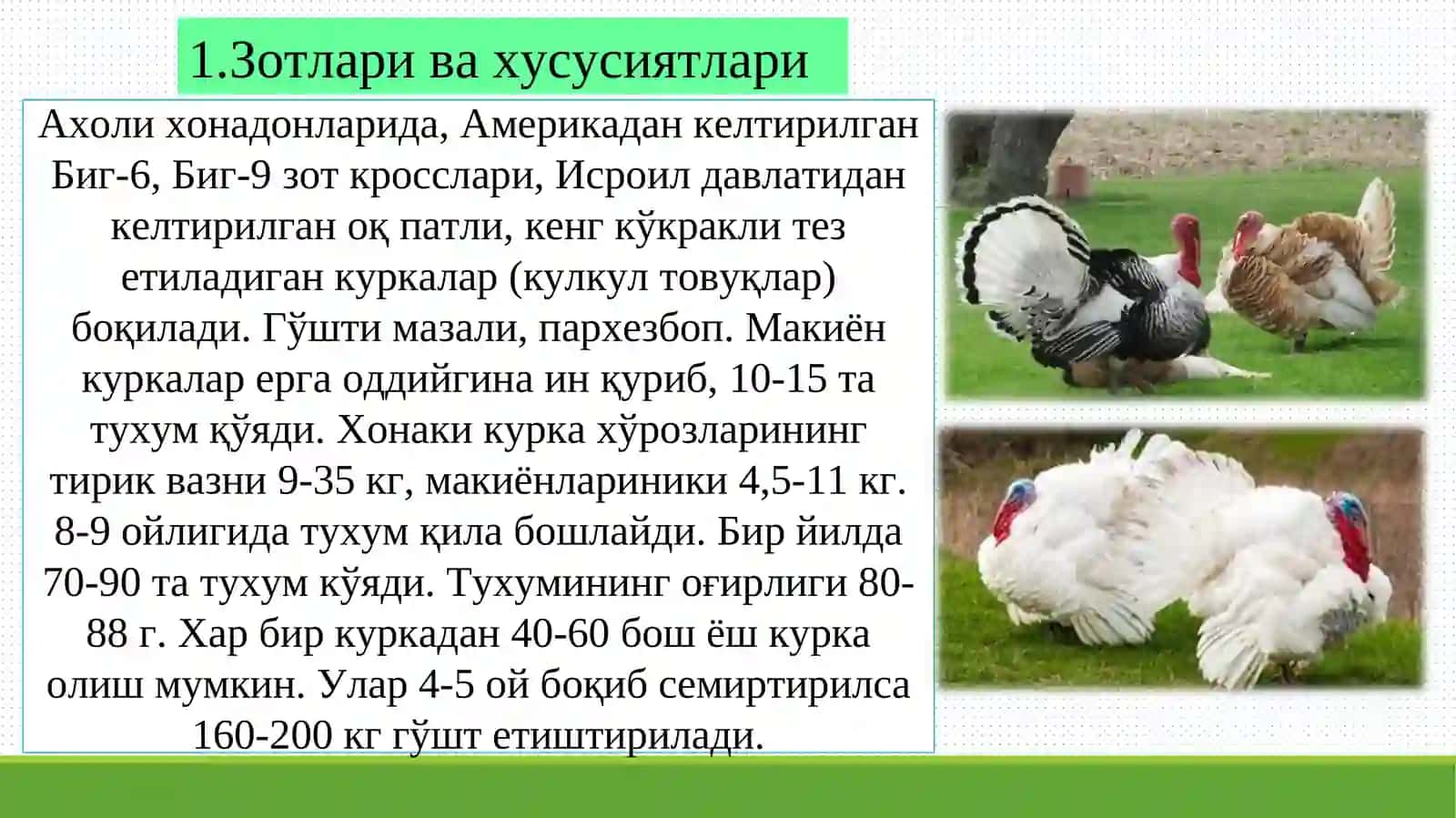 Куркаларнинг биологик хусусиятлари ва куркачиликни ривожлантириш истиқболлари 3