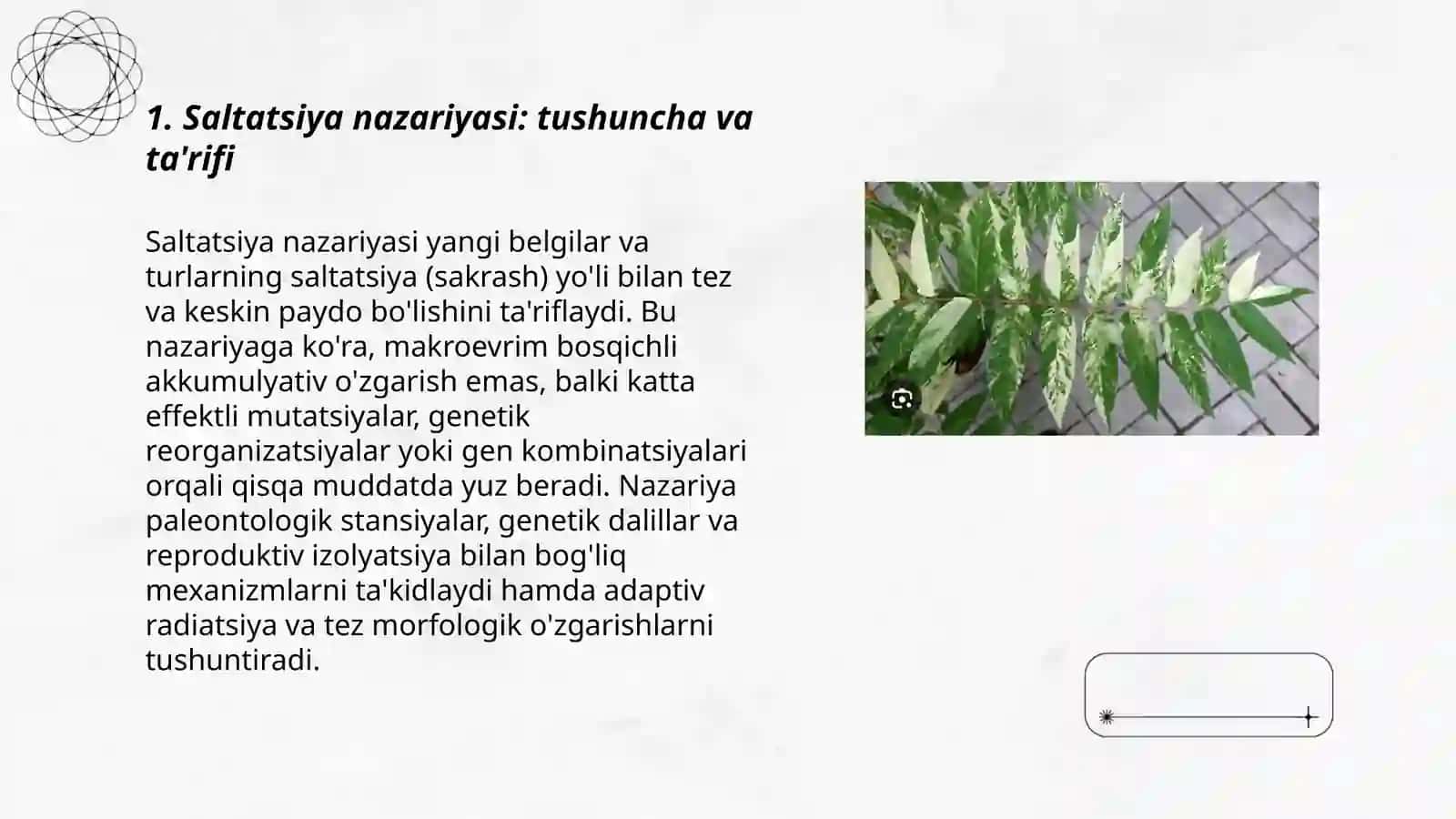 Saltatsiya nazariyasi: tushuncha va ta'rifi 3