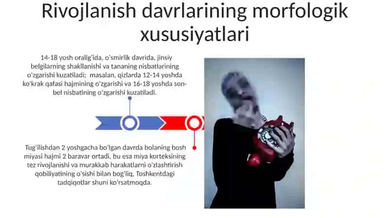 Rivojlanish davrlarining morfologik xususiyatlari 3