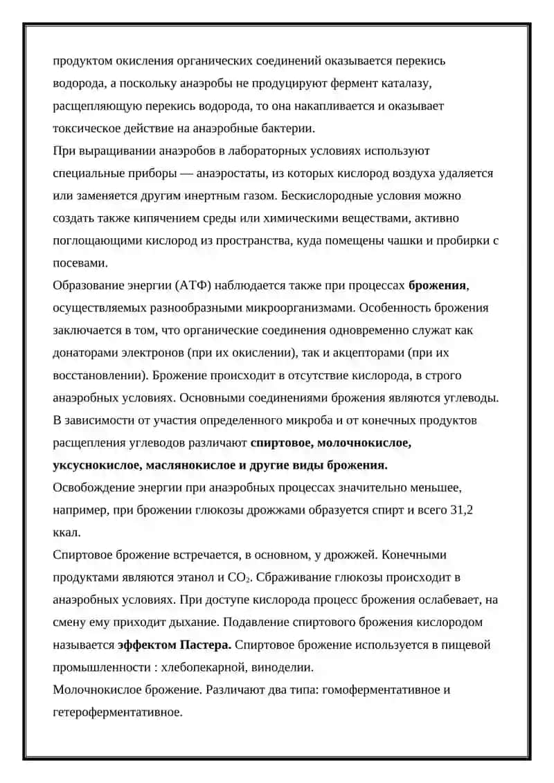 Физиология микроорганизмов 3